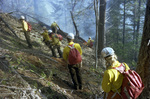 Smokejumper crew builds a fireline along a hillside by Douglas Beck