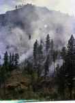 Ground fire moves through a forest on a steep hillside by Douglas Beck