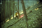 Fire fighter mopping up during the Hog Fire in the Klamath National Forest by Douglas Beck