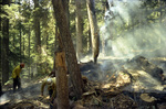 Smokejumpers work among a smoldering forest floor in the Rogue River National Forest by Douglas Beck