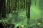 Three smokejumpers work the fire line by Douglas Beck