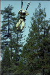 Smokejumper landing with a parachute by Douglas Beck