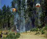 Cargo drop at fire line by Douglas Beck