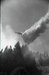 DC-4 drops retardant over Chetco Peak by Douglas Beck