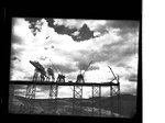 Cranes on the partially completed railway bridge over the foundation of Grand Coulee Dam by Hubert Blonk