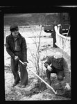 Workers from Camp Columbia plant a tree by Hubert Blonk