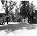 Redwood Ranger Station by Albert Boucher