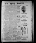 Cheney Sentinel, November 21, 1890 by D. H. Stewart and George W. Stewart