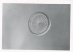 Parachute canopy from below by unknown