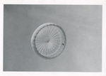 Parachute canopy from below by unknown
