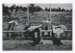 Jumpers in torture rack by unknown
