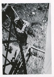 Smokejumper exiting tower by Phil Stanley and United States. Forest Service