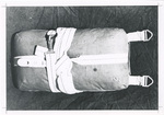 30' Eagle backpack chute by unknown