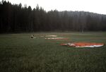 Parachutes at the Squaw Creek Basin Fire jump site by Ted Corporandy