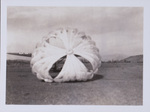 Parachute cut to make test for reducing opening shock - open slower no oscillation and descends slower by Albert Davies