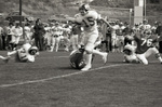 Whitworth quarterback with an Eastern Washington University defender at his feet at Woodward Field by Eastern Washington University. Athletics.