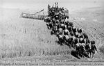Combine cutting grain in northeastern Oregon. by Otis W. Freeman