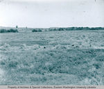 Hay field near Spangle by Otis W. Freeman