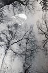 Parachutist by Robert Gillette