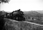 Southern Pacific Transportation Company steam locomotive near Big Trees, California by Thomas S. Kreutz