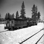 Spokane International Railroad steam locomotive near East Farms, Washington by Thomas S. Kreutz