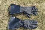 Gloves of Russian Smokejumpers by William D. Moody