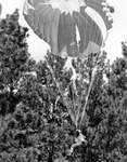 Smokejumper descending in a Lesnik-1 parachute by unknown