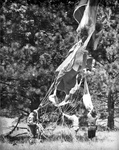 Soviet smokejumper Nikolai Andreev and others retrieve parachute by unknown