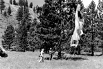 Soviet smokejumper Nikolai Andreev retrieves his parachute by unknown