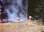555th Parachute Infantry troop working near forest fire by Edgar W. Weinberger and United States. Army Air Forces