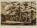 Nez Perces by John Mix Stanley; Sarony, Major & Knapp, Lithographers; and Thomas H. Ford, Printer