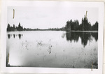 Tritt Lake - Water held by S-1-2 by Turnbull National Wildlife Refuge (Wash.)