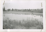 Tom Mann Lake - created by structure S-1-16 by Turnbull National Wildlife Refuge (Wash.)
