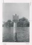 Flood damaged marker for Turnbull National Wildlife Refuge near Stubblefield Lake by Turnbull National Wildlife Refuge (Wash.)