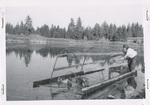 Duck trap at Middle Pine Creek Lake by Turnbull National Wildlife Refuge (Wash.)
